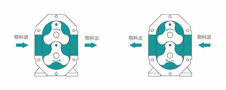 轉(zhuǎn)子泵試車注意事項